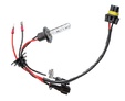 Ксеноновые лампы Optima Premium Classic H7 — ksenonovaya lampa OP Classic H7 2